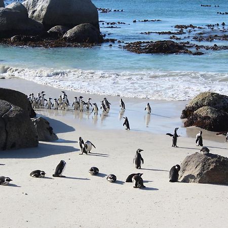 Boulders Beach House Simonʼs Town Екстериор снимка